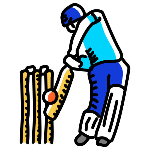 Cricket Practice Pitch